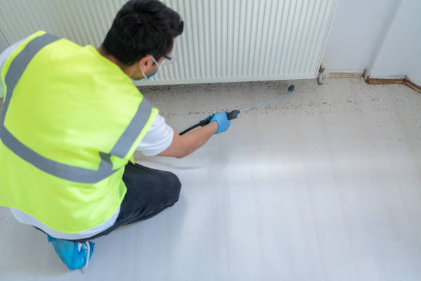 Best Fumigation Services  in Greenhills, OH